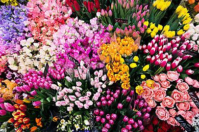 《Granvir》Steam页面上线 机甲肉鸽动作新游